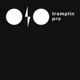 Логотип Школа Tramplin
